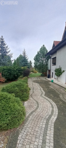 Dom Sprzedaż Gniezno 22