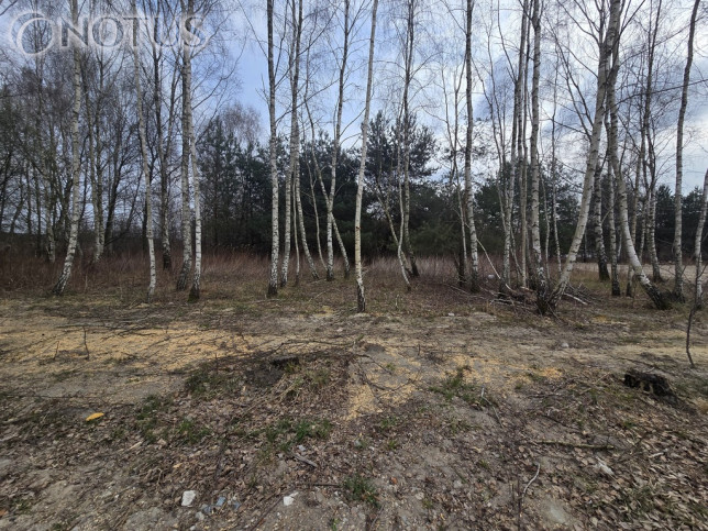 Działka Sprzedaż Jastrzębnik 6