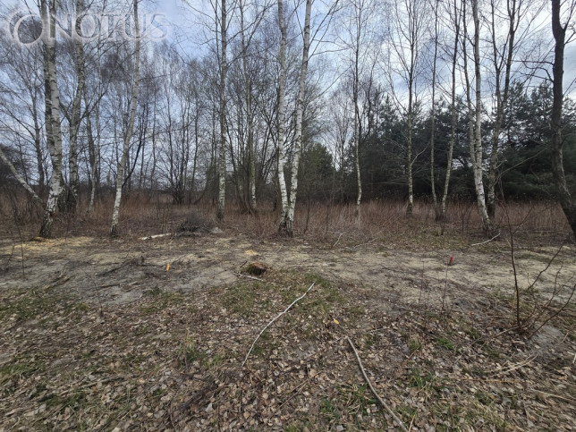 Działka Sprzedaż Jastrzębnik 7