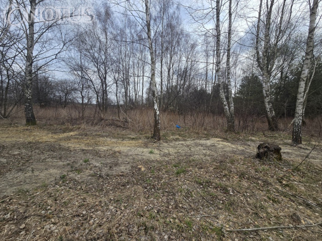 Działka Sprzedaż Jastrzębnik 8