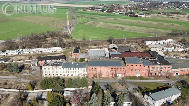 Obiekt Sprzedaż Chojnów 1