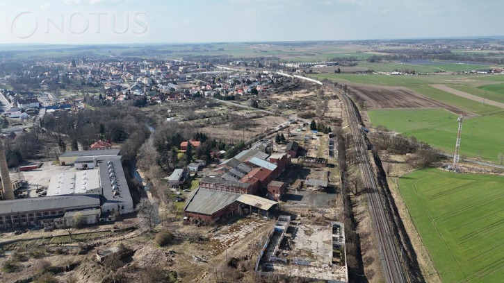 Obiekt Sprzedaż Chojnów 4