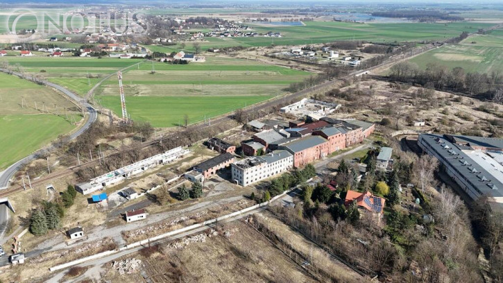 Obiekt Sprzedaż Chojnów 3