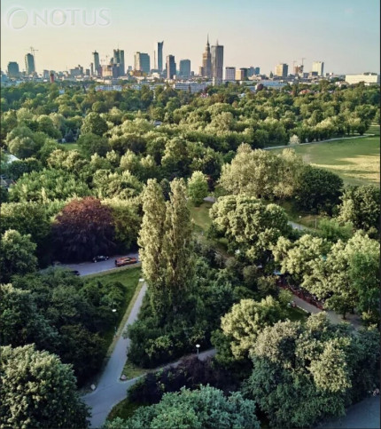 Mieszkanie Sprzedaż Warszawa Mokotów 3