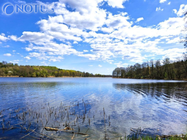 Działka Sprzedaż Zbójno 3