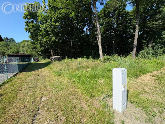 Dom Sprzedaż Rzyki 8