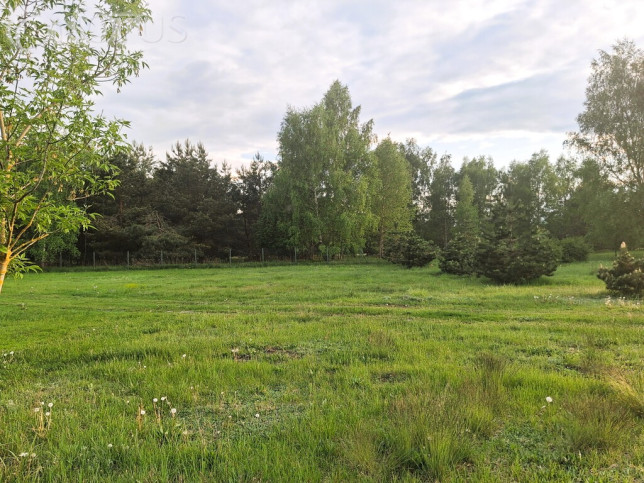Działka Sprzedaż Zamek Bierzgłowski 1