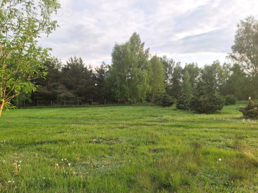 Działka Sprzedaż Zamek Bierzgłowski