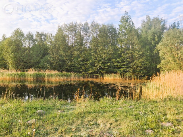 Działka Sprzedaż Zamek Bierzgłowski 2